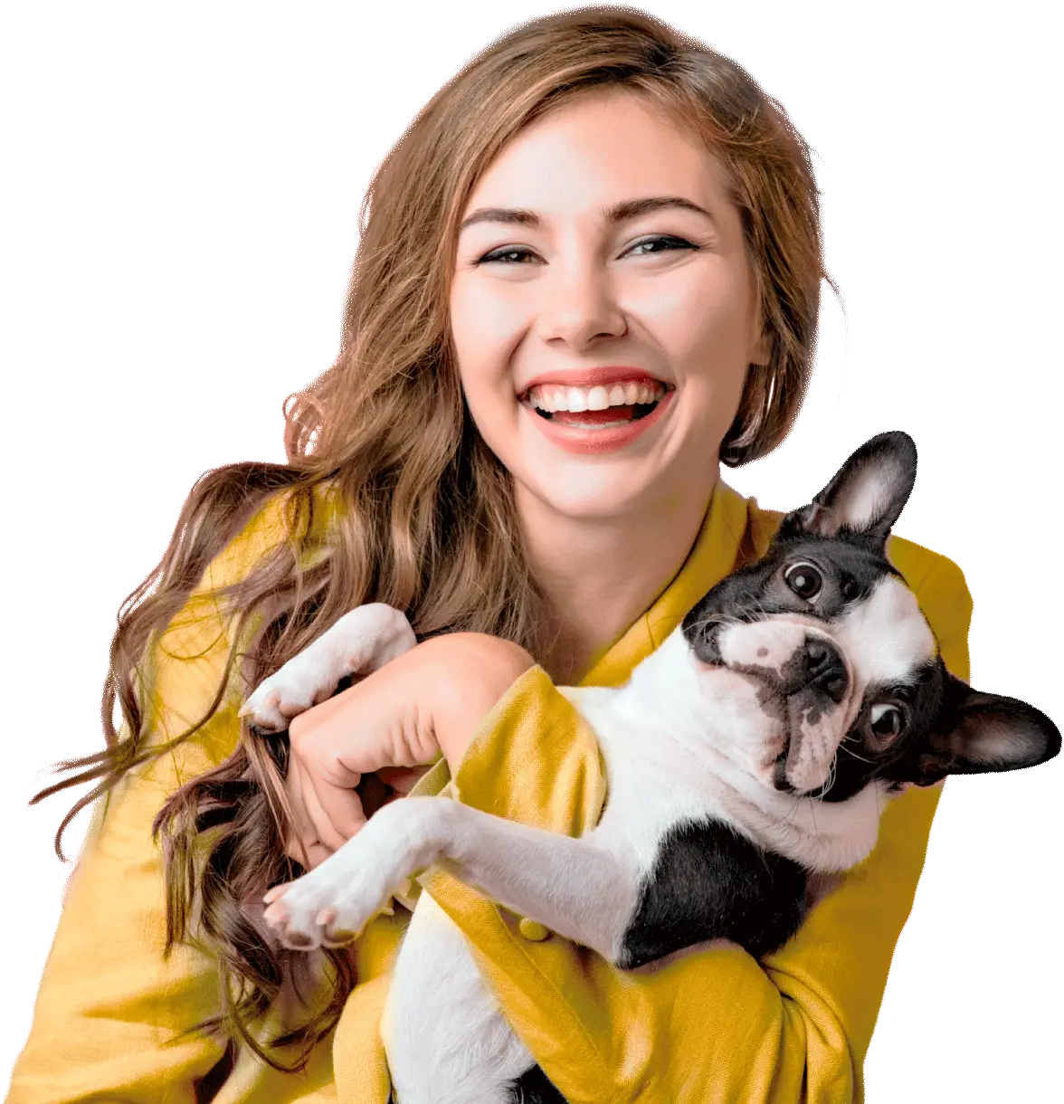 Felinos Medicina Veterinária Catanduva