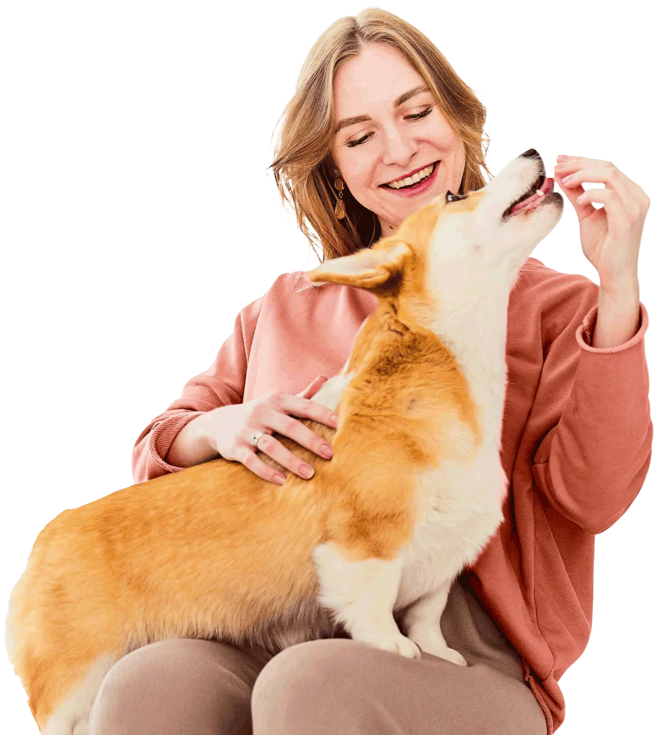 Felinos Medicina Veterinária Catanduva